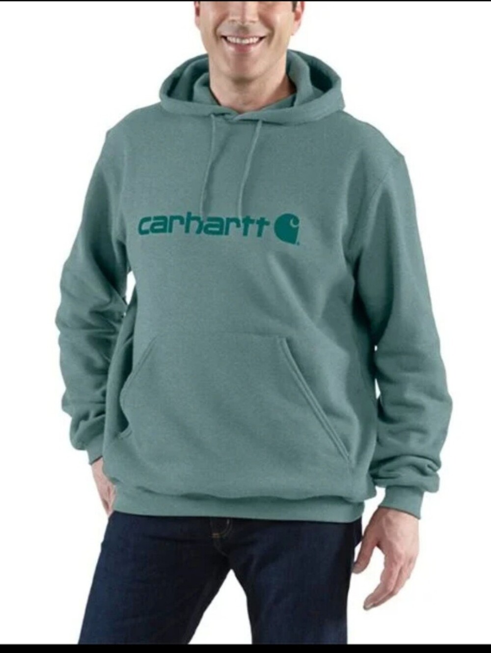 Carhartt Mens Hooded Sweatshirt in Sage Green